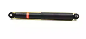 bsg-bsg30300042